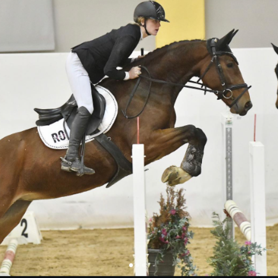 v. Matisse de Mariposa. Für 26 tragend v. Olympic.